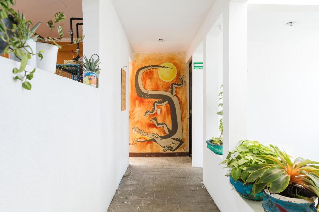 Residencia Artistica Hostel Puerto Escondido  Bagian luar foto